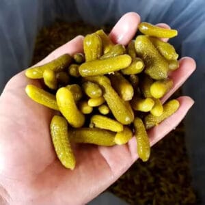 eingelegte Gurken Gro&szlig;handel,Cornichons Lieferant,Gurken in F&auml;ssern