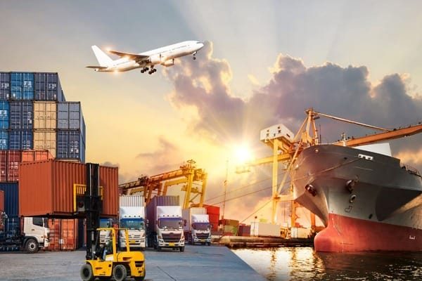 food export company